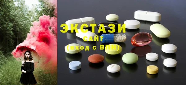 ECSTASY Богородск