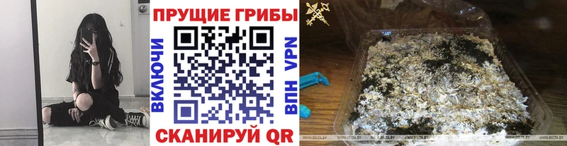Галлюциногенные грибы Magic Shrooms  Ангарск 