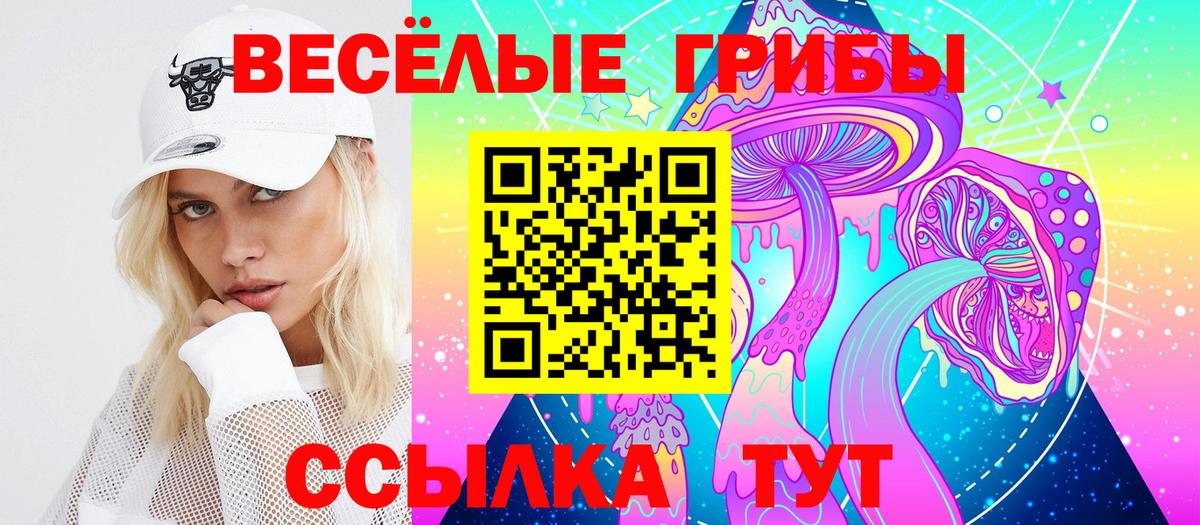 Галлюциногенные грибы GOLDEN TEACHER  Галлюциногенные грибы Psilocybine cubensis  Ангарск  Вход с VPN 