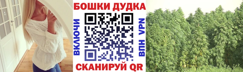 Канабис ГИДРОПОН  как найти наркотики  маркетплейс как зайти  Ангарск 
